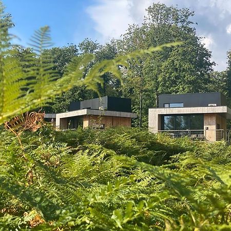 Forest Cube Oignies Eksteriør bilde