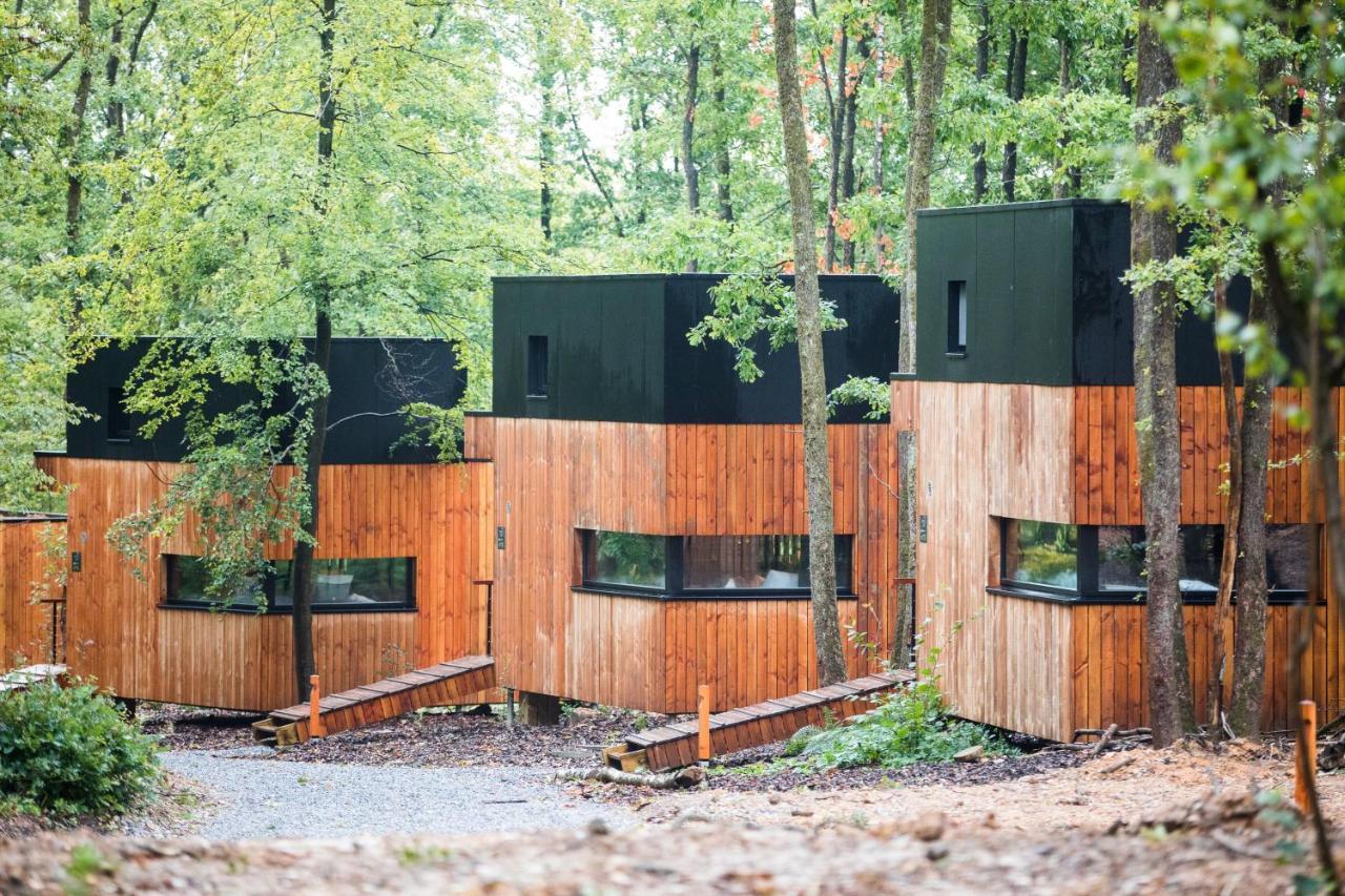 Forest Cube Oignies Eksteriør bilde